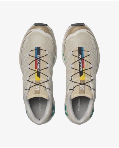 XT-6 Rainy Day/Chinch