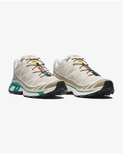 XT-6 Rainy Day/Chinch