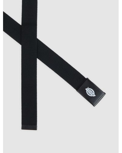 ORCUTT WEBBING BELT black