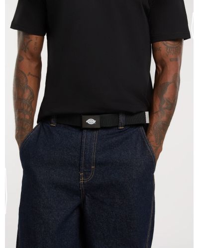 ORCUTT WEBBING BELT black