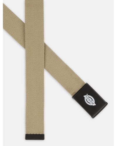 ORCUTT WEBBING BELT khaki