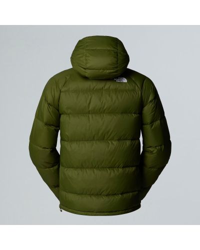 M HYDRNLTE DWN HDY WOODLAND GREEN