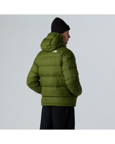 M HYDRNLTE DWN HDY WOODLAND GREEN