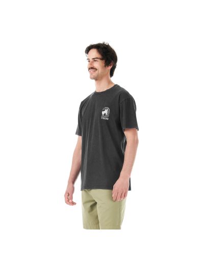 PICTURIDE TEE