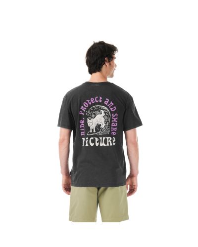 PICTURIDE TEE