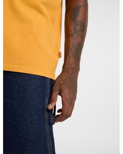 DARRTOWN SS TEE SUNFLOWER