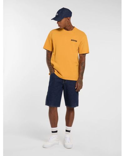 DARRTOWN SS TEE SUNFLOWER