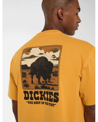 DARRTOWN SS TEE SUNFLOWER