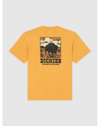 DARRTOWN SS TEE SUNFLOWER