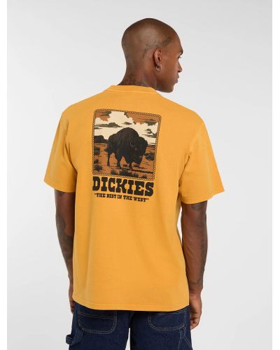 DARRTOWN SS TEE SUNFLOWER