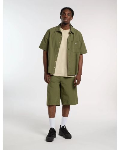 VERNAL SHIRT SS CYPRESS