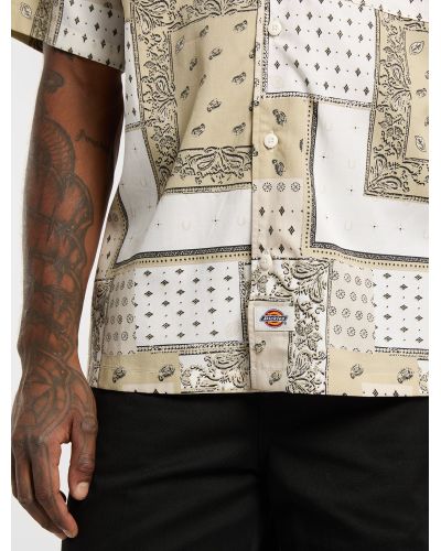 GLANDORF SHIRT SS EGRET