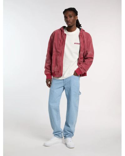 DRY RIDGE SS TEE EGRET