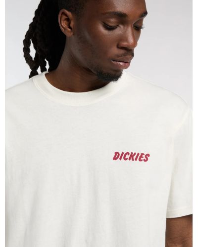 DRY RIDGE SS TEE EGRET