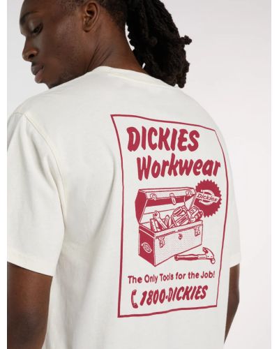 DRY RIDGE SS TEE EGRET