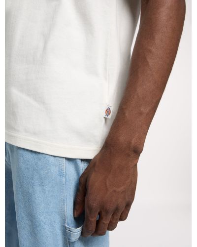 DRY RIDGE SS TEE EGRET