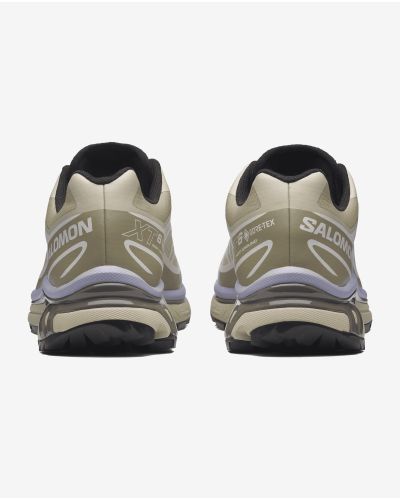 XT-6 GTX Eucalyptus/S