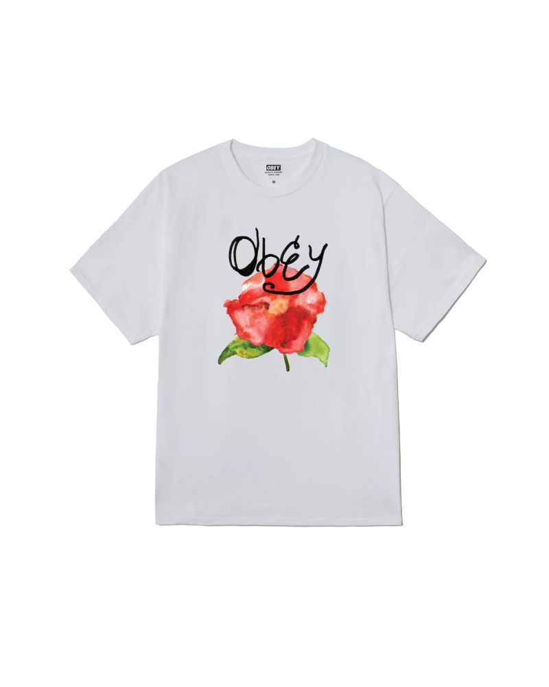 OBEY WATERCOLOR POPPY