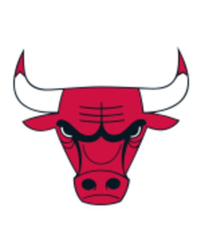 NBA TEAM TRIBUTE BSKT CHI BULLS