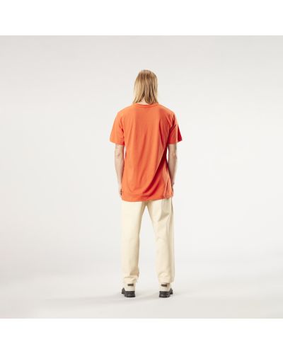 SKALAR PANTS wood ash