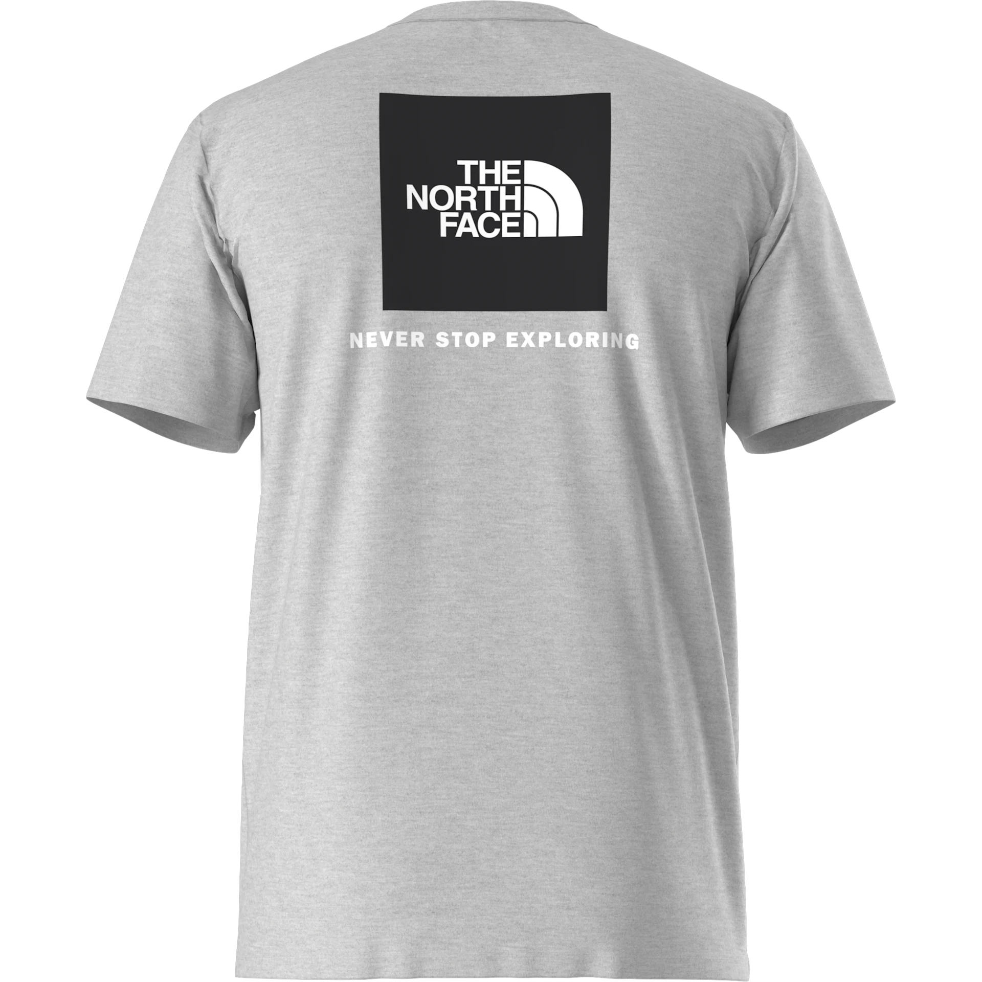Tee shirt homme The North Face M EVO BOX NSE REG SS T TNF Pale Grey Heather