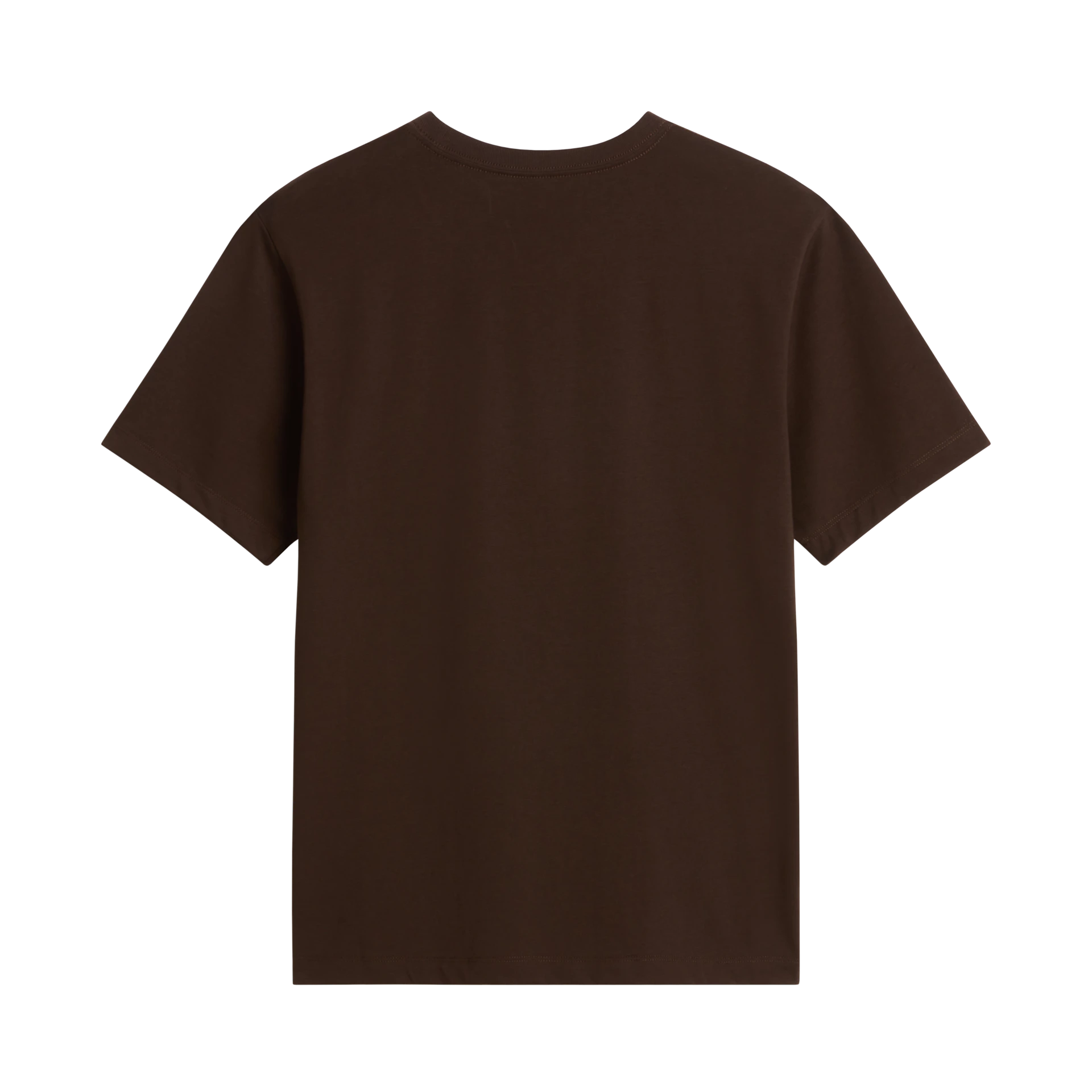 Tee shirt homme The North Face M EVO SD REG SS TEE Dark Chestnut