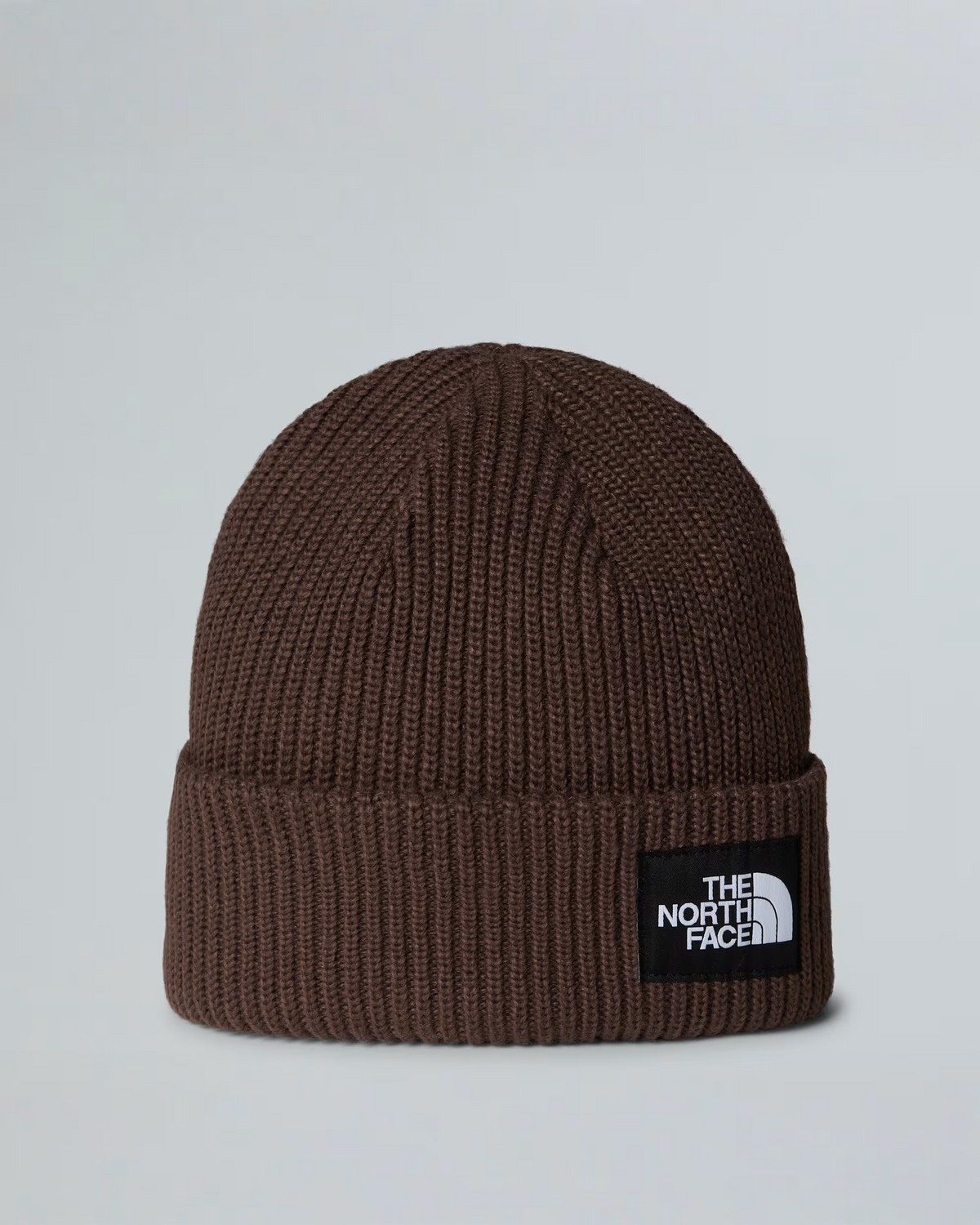 Bonnet The North Face Salty Lined Marron Dark Chestnut