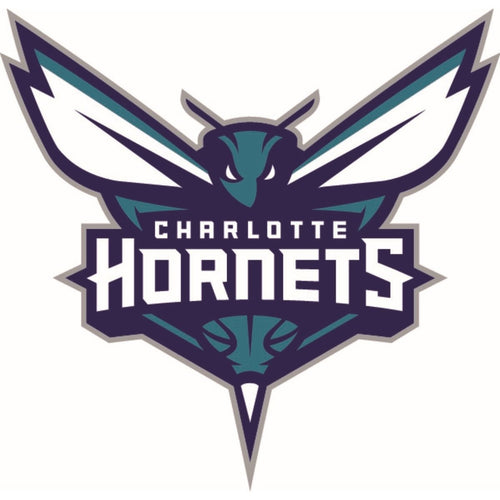 NBA TEAM TRIBUTE BSKT CHAR HORNETS