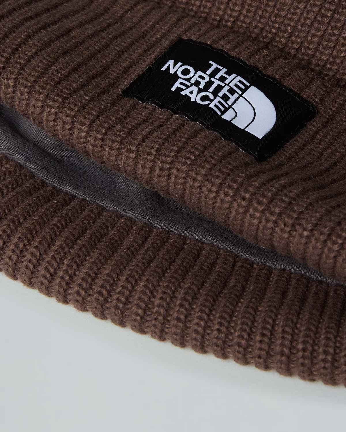 Bonnet The North Face Salty Lined Marron Dark Chestnut