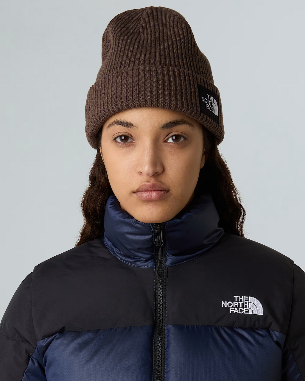 Bonnet The North Face Salty Lined Marron Dark Chestnut