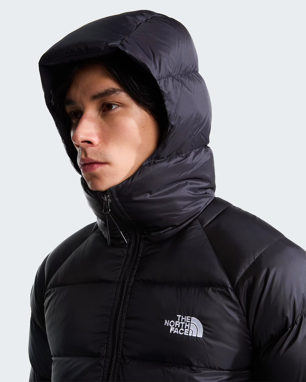 Doudoune à capuche The North Face Hydrenalite - Noir Homme