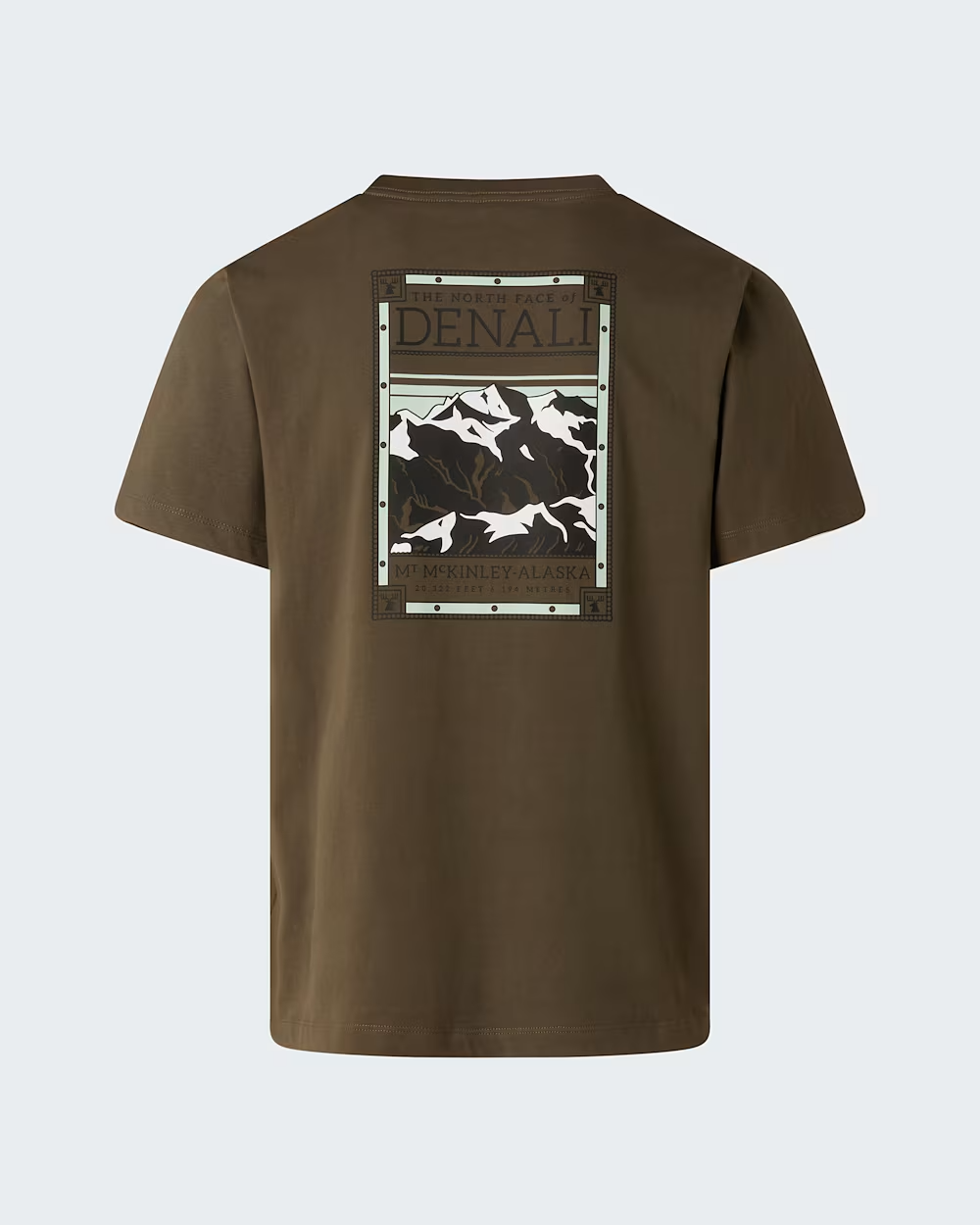 T-shirt The North Face North Faces - Caraway Seed Homme