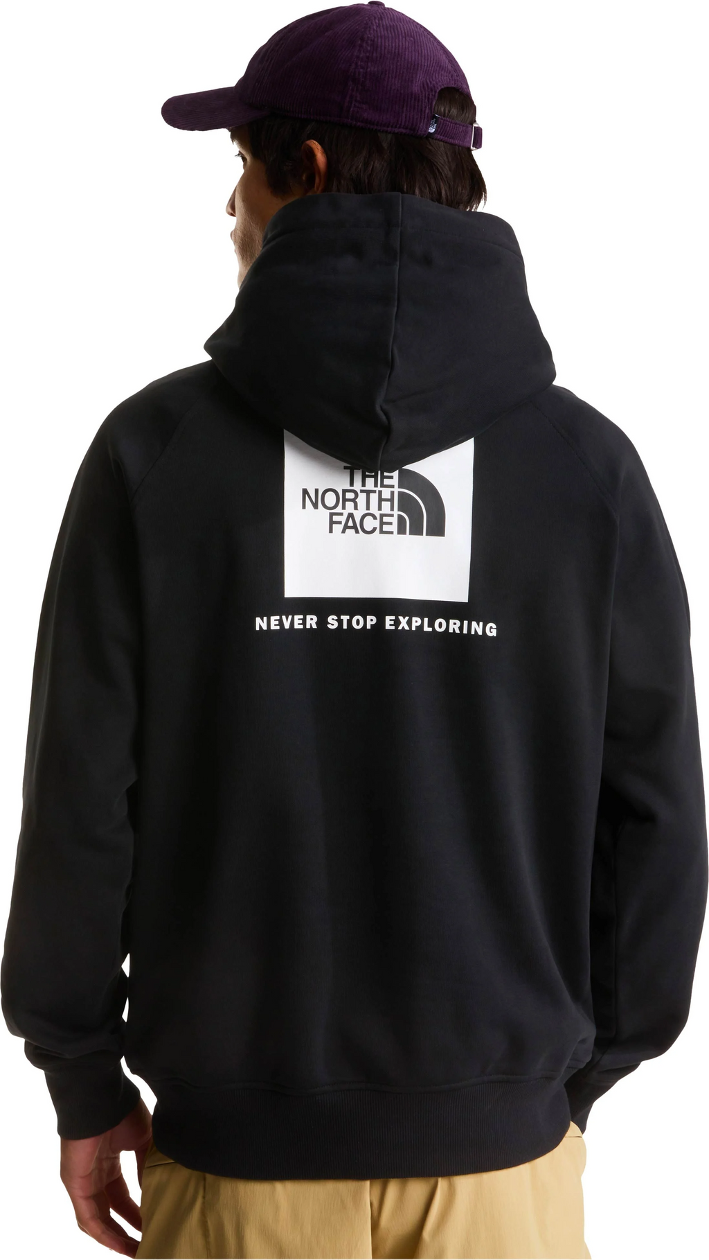 Sweat à Capuche The North Face Evo Box NSE - TNF Black Homme