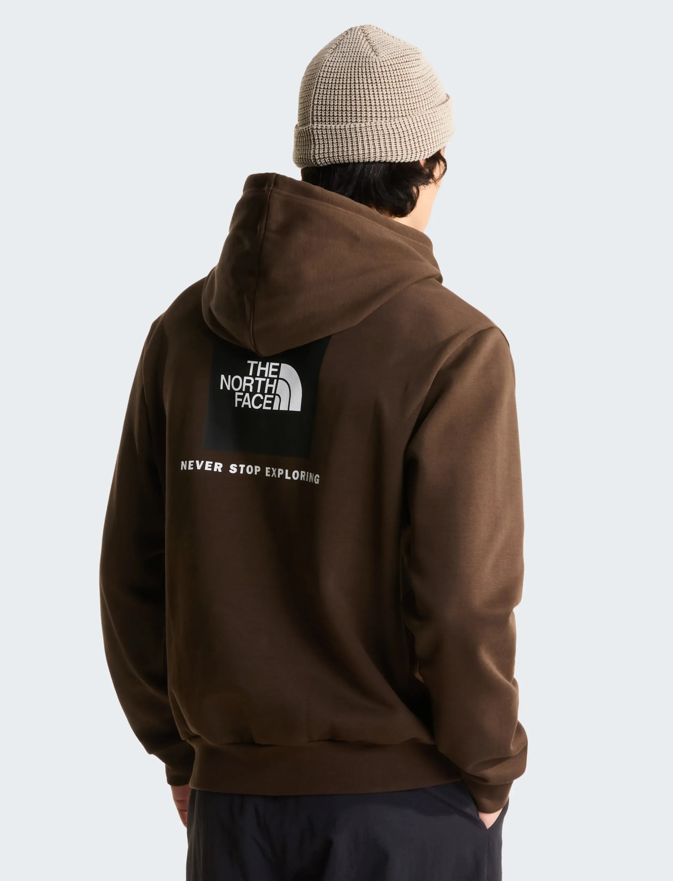 Sweat à Capuche The North Face Evo Box NSE - Dark Chestnut Homme