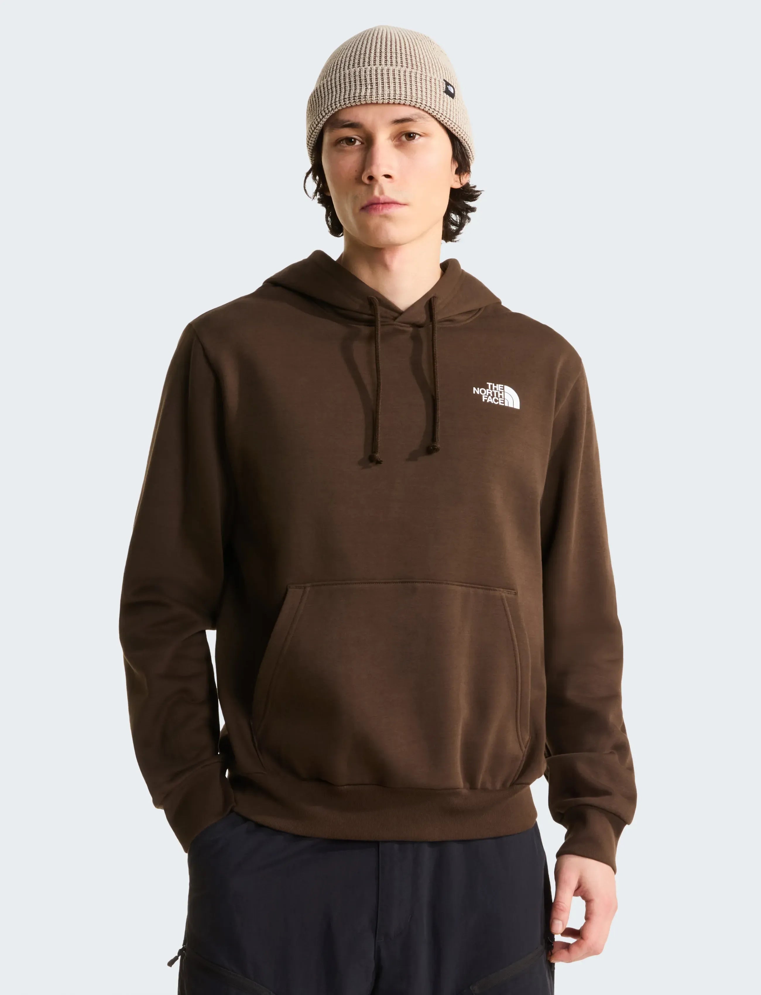 Sweat à Capuche The North Face Evo Box NSE - Dark Chestnut Homme