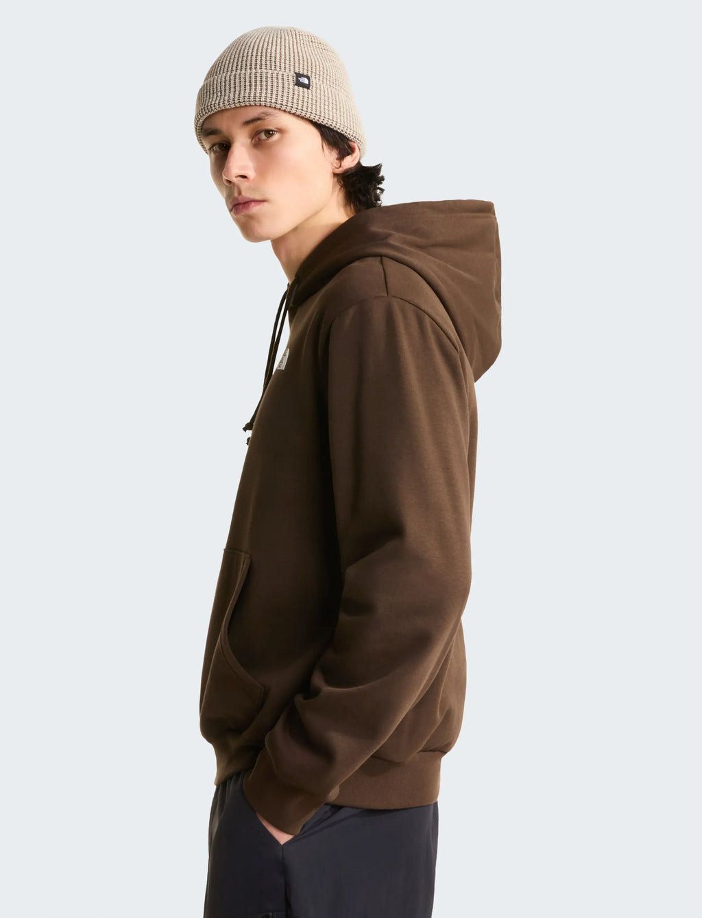 Sweat à Capuche The North Face Evo Box NSE - Dark Chestnut Homme